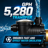 XtremepowerUS Dual Speed In-Ground Swimming Pool Pump Spa High Flow GPH 1.5" NPT 230V