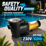 XtremepowerUS Dual Speed In-Ground Swimming Pool Pump Spa High Flow GPH 1.5" NPT 230V
