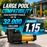 XtremepowerUS Dual Speed In-Ground Swimming Pool Pump Spa High Flow GPH 1.5" NPT 230V