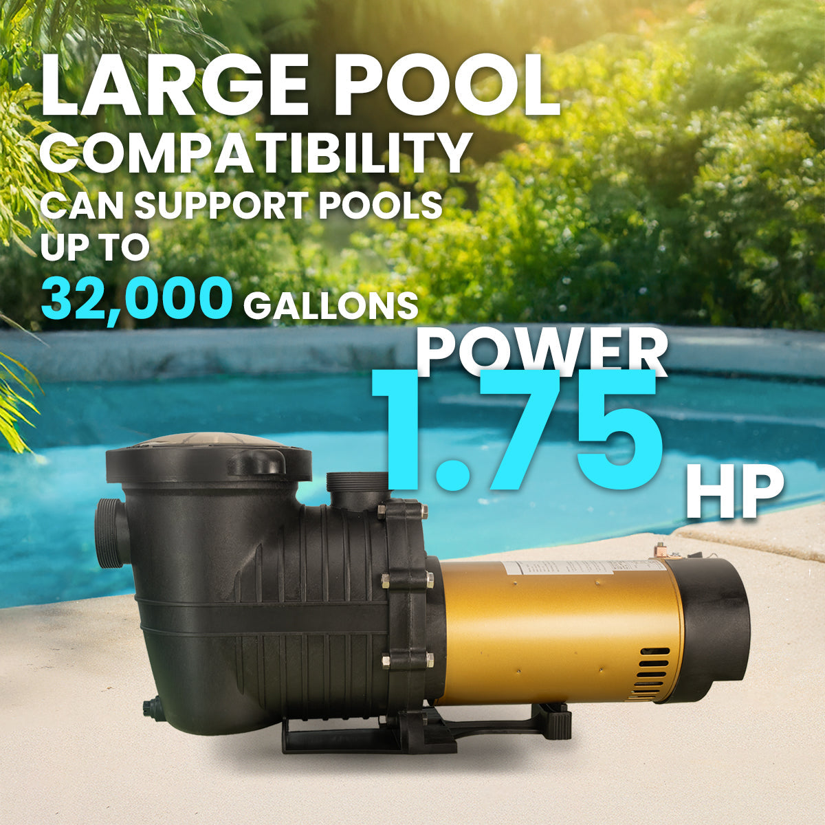 1 HP In-Ground Swimming Pool Pump With Strainer – 110V/230V, 1.5" Inlet/Outlet